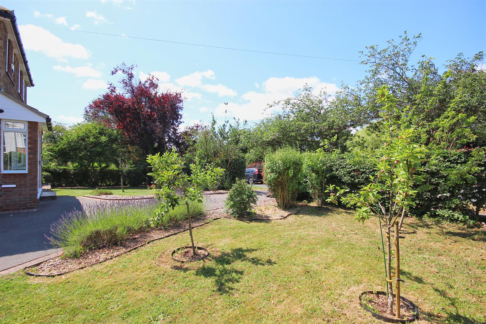 Cheyne Walk, Hornsea